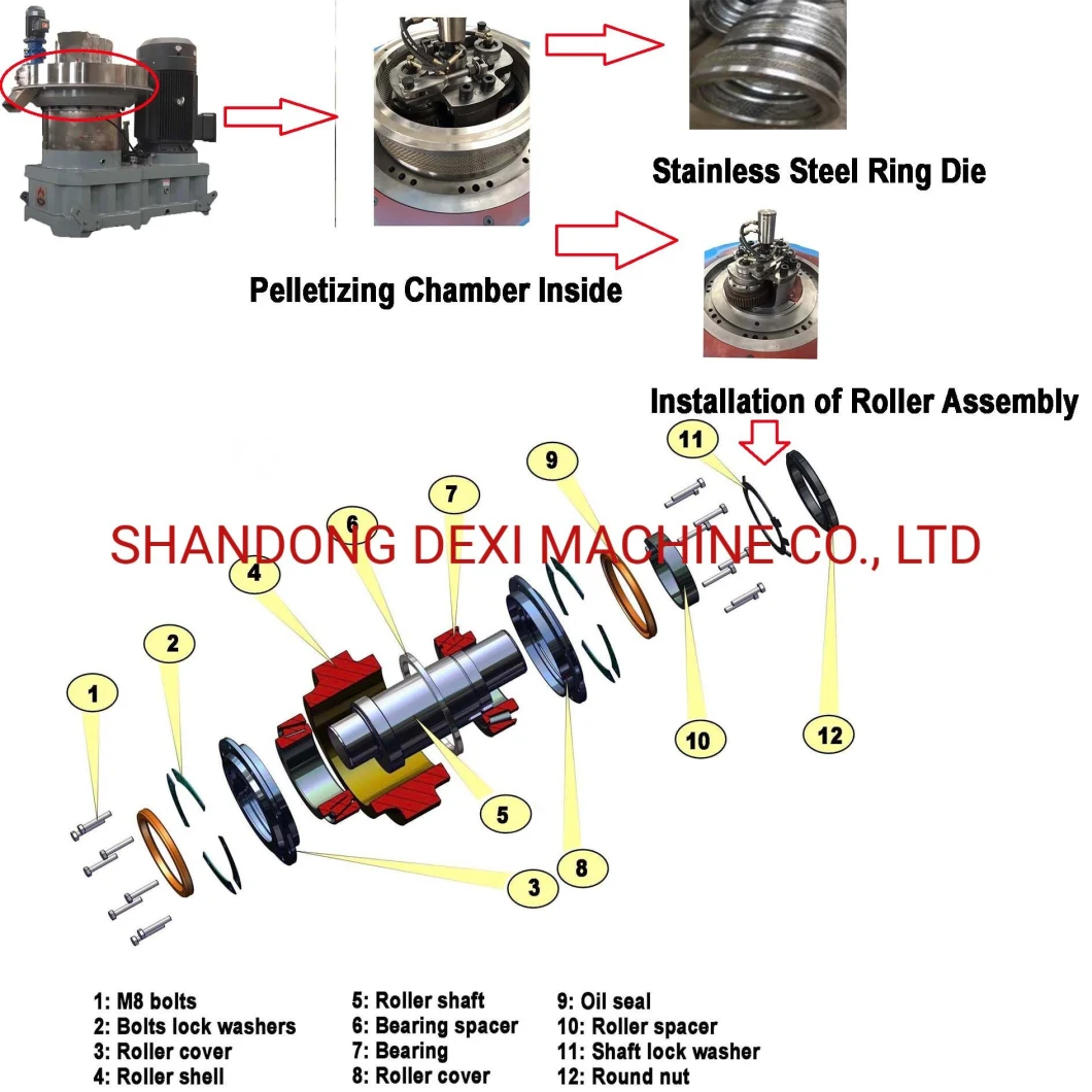 132kw 2 Ton/Hour Vertical Ring Die Big Capacity Industry Using Biomass Pelletizing Wood Pellet Press Making Pelletizer Mill Machine